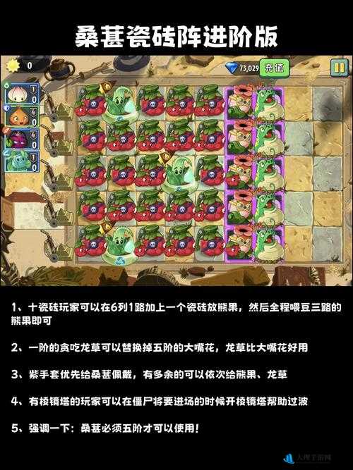 植物大战僵尸2天空之城无尽挑战通关秘籍分享